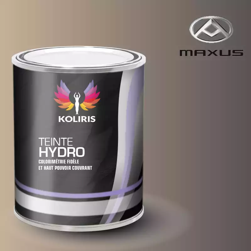 Peinture utilitaire - camion hydro Maxus