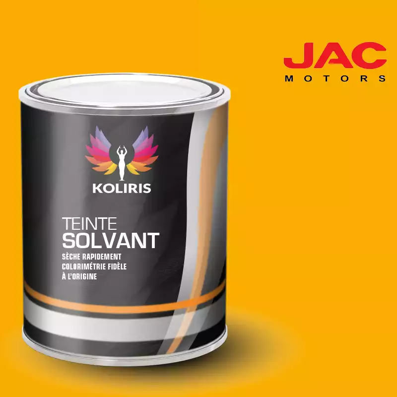 Peinture utilitaire - camion solvant Jac Motors