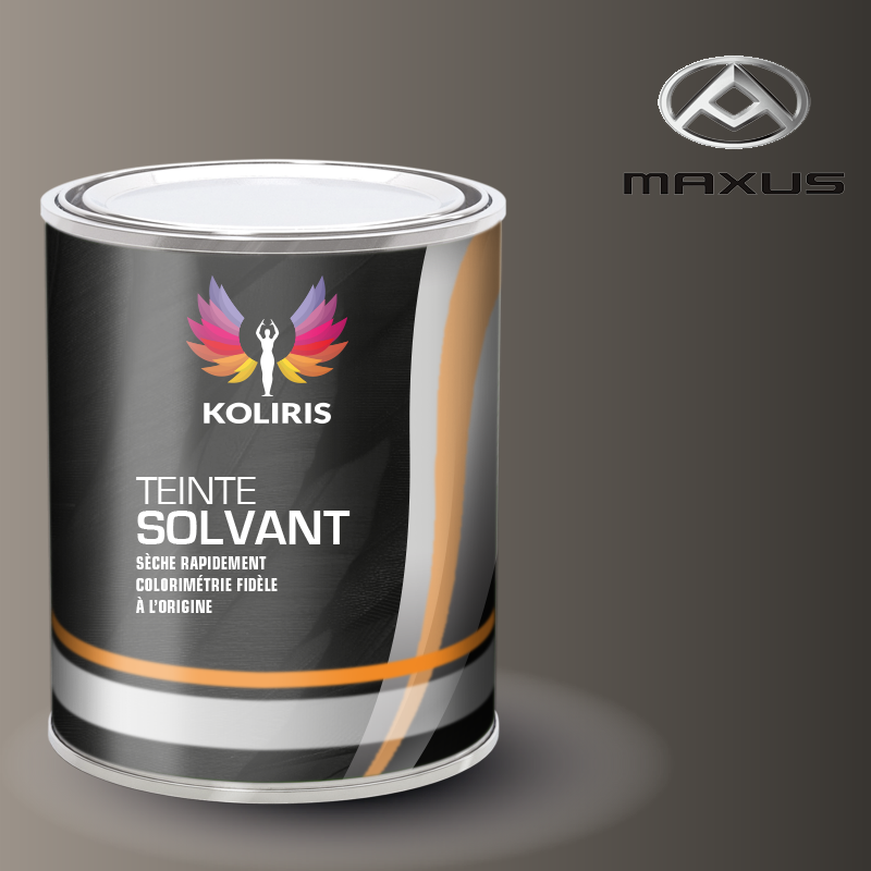 Peinture utilitaire - camion solvant Maxus