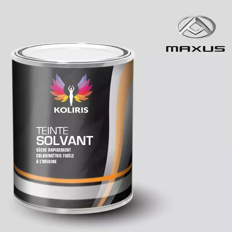 Peinture utilitaire - camion solvant Maxus