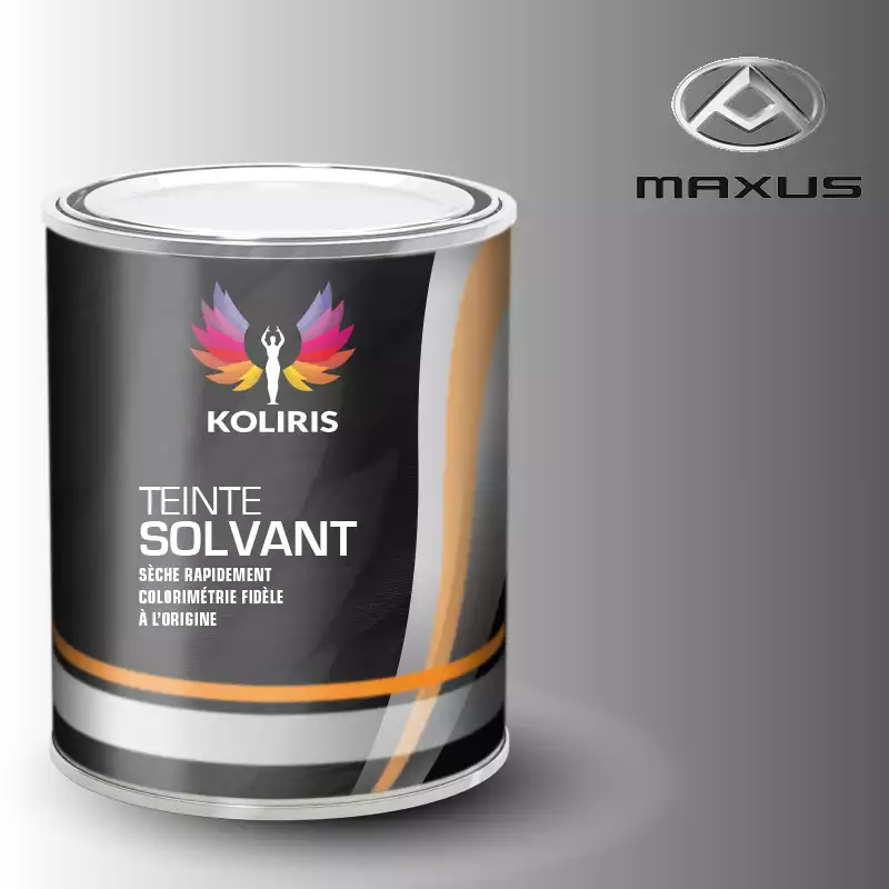 Peinture utilitaire - camion solvant Maxus