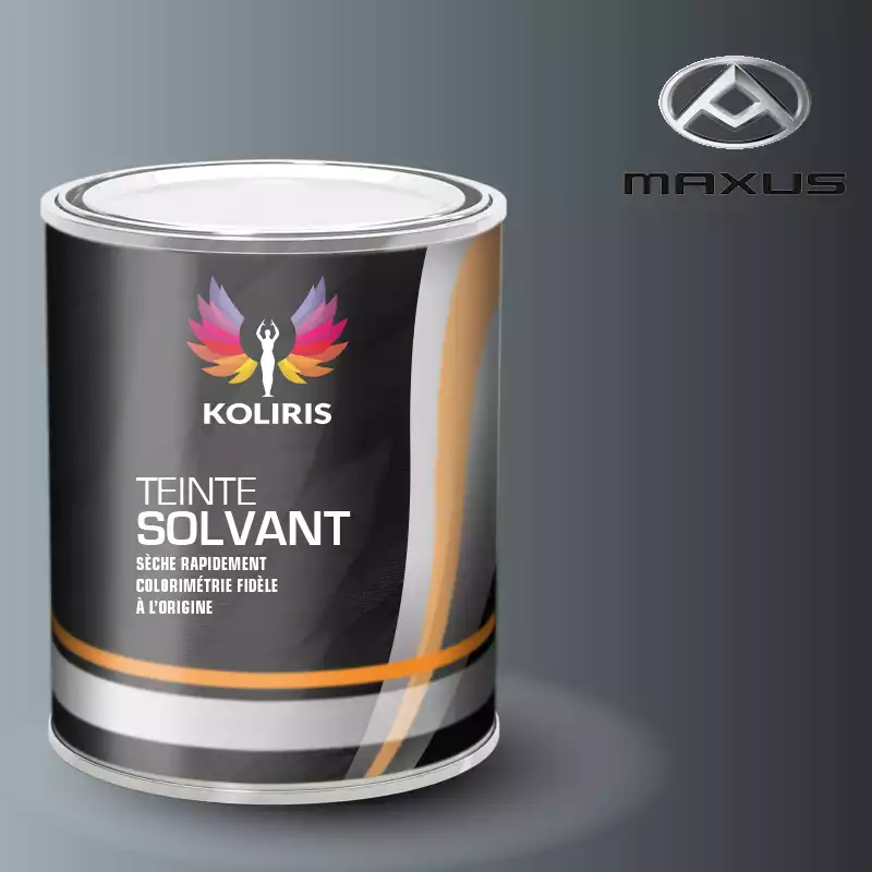 Peinture utilitaire - camion solvant Maxus