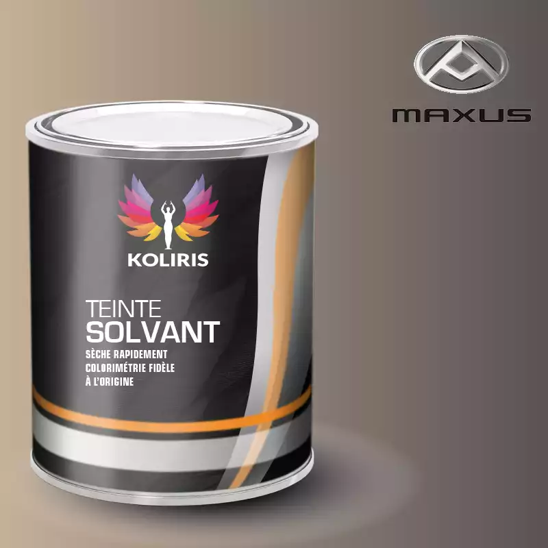 Peinture utilitaire - camion solvant Maxus