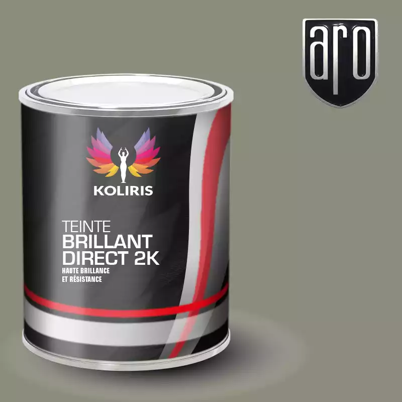 Peinture voiture brillant direct VOC420 Aro