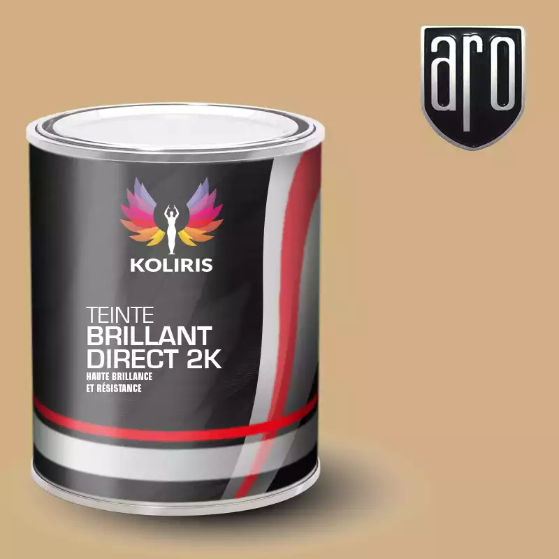 Peinture voiture brillant direct VOC420 Aro