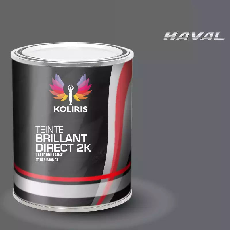 Peinture voiture brillant direct VOC420 Haval