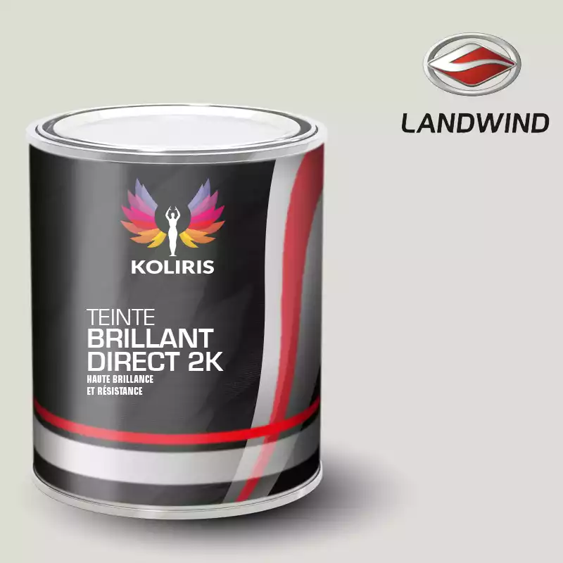 Peinture voiture brillant direct VOC420 Landwind