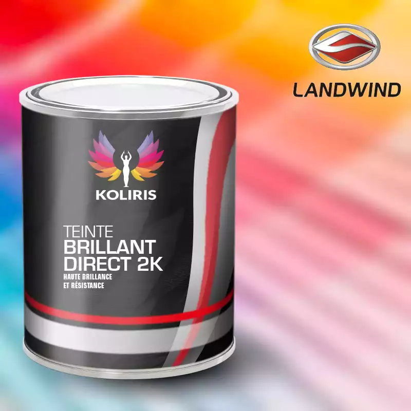 Peinture voiture brillant direct VOC420 Landwind