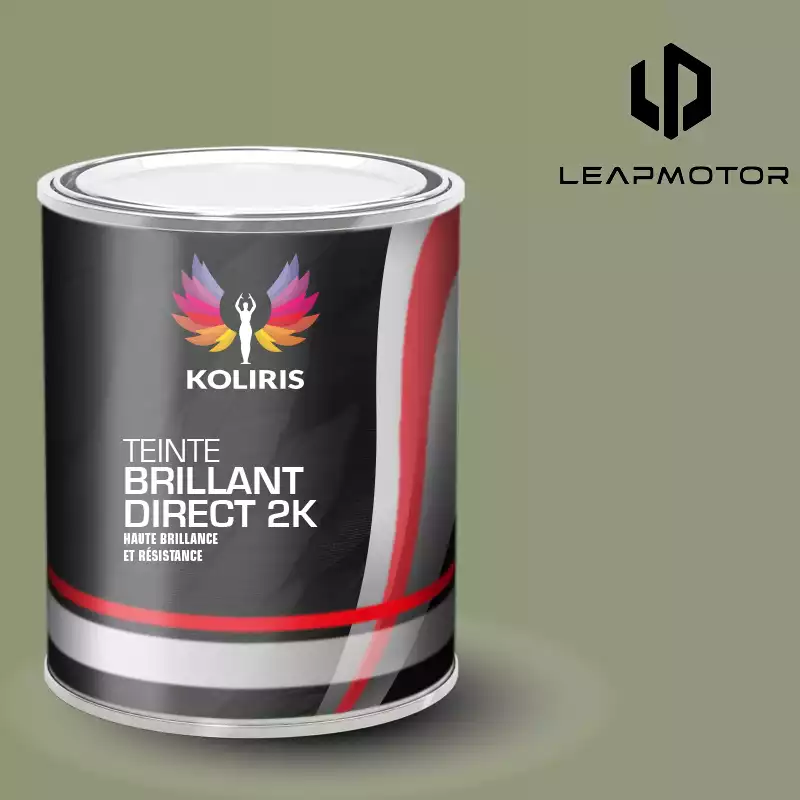 Peinture voiture brillant direct VOC420 Leap Motor