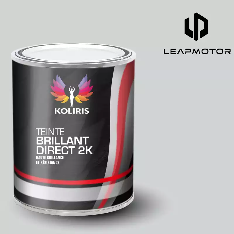 Peinture voiture brillant direct VOC420 Leap Motor