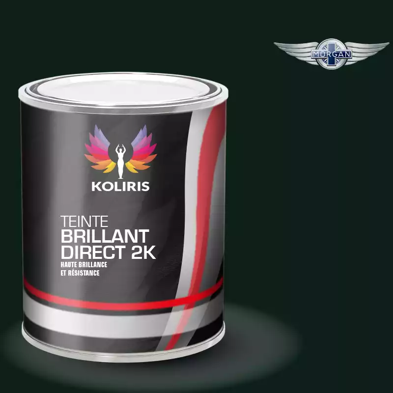 Peinture voiture brillant direct VOC420 Morgan