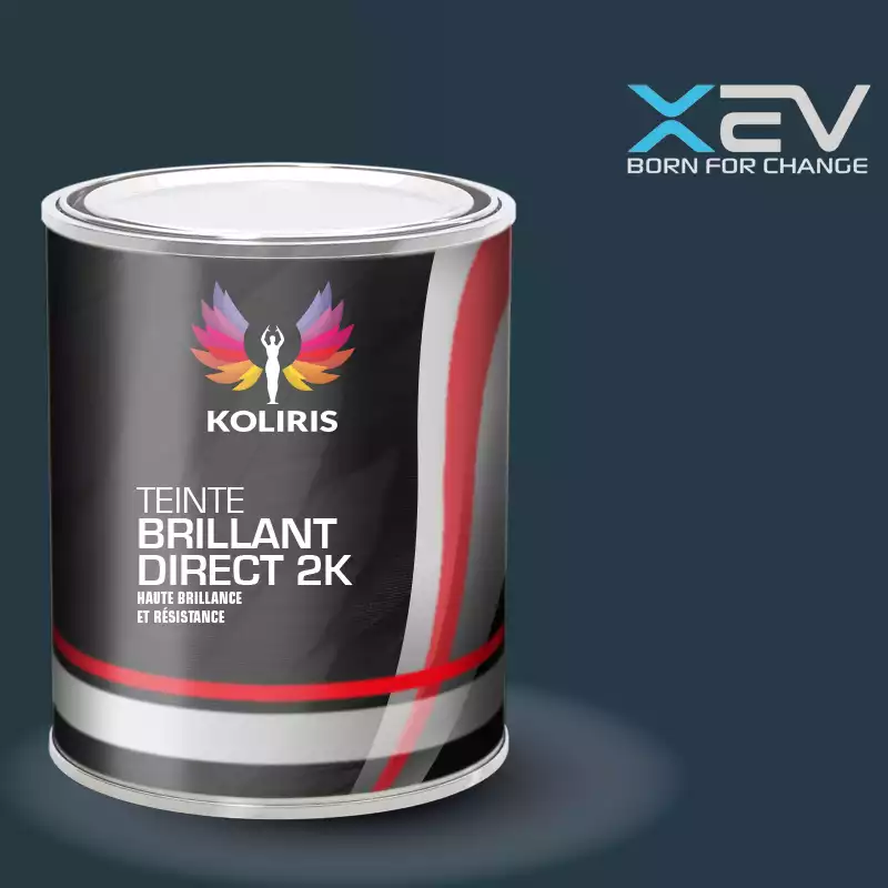 Peinture voiture brillant direct VOC420 Xev