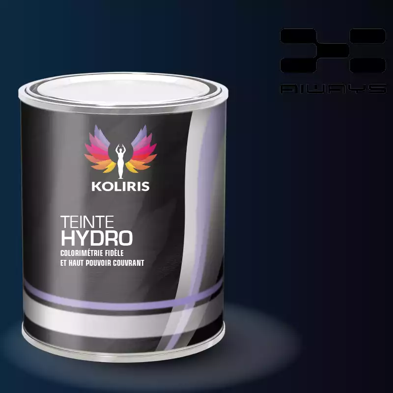 Peinture voiture hydro Aiways