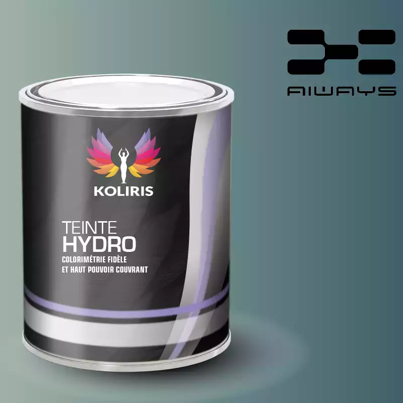 Peinture voiture hydro Aiways