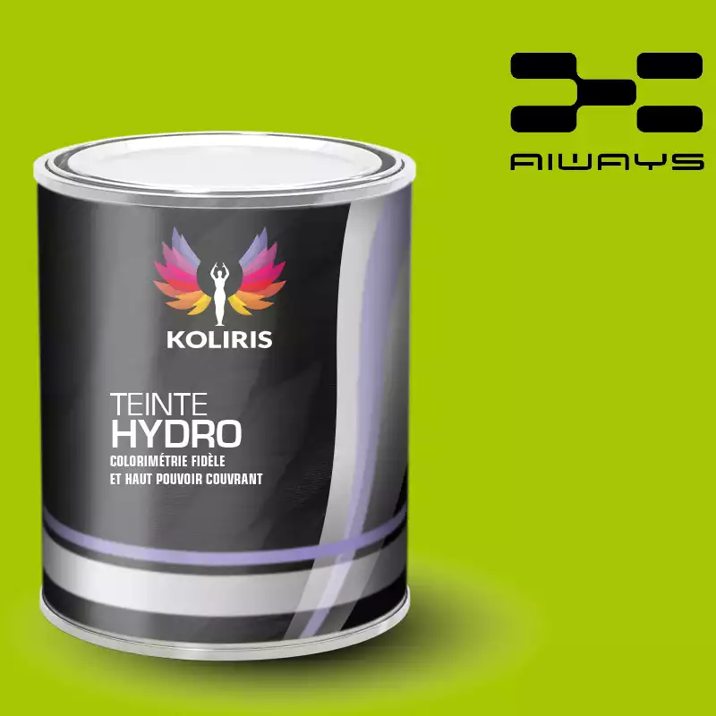 Peinture voiture hydro Aiways