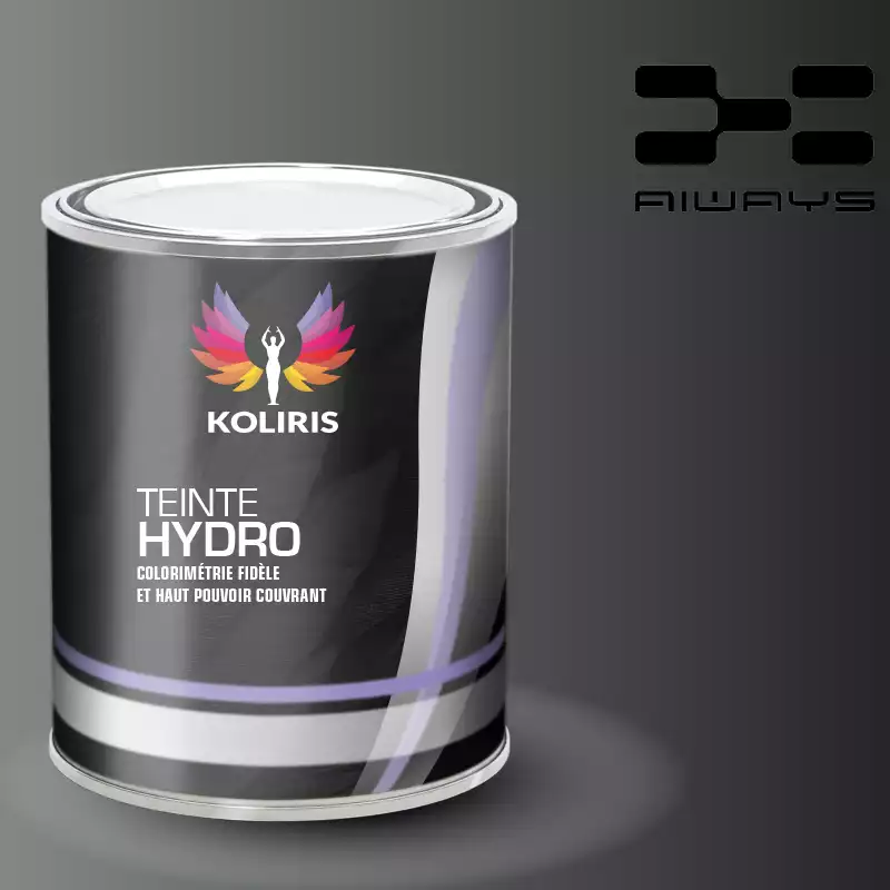 Peinture voiture hydro Aiways