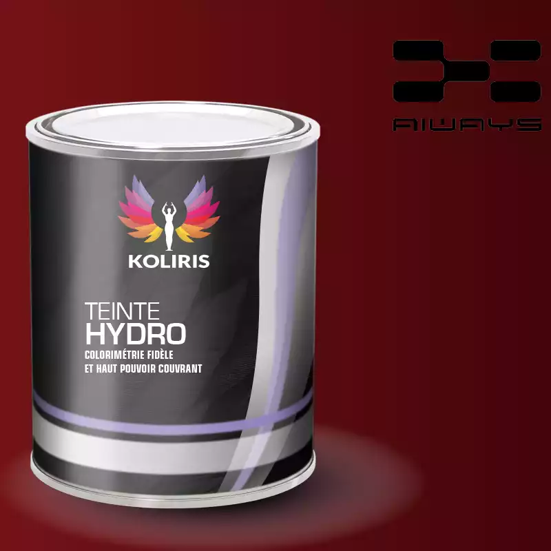 Peinture voiture hydro Aiways