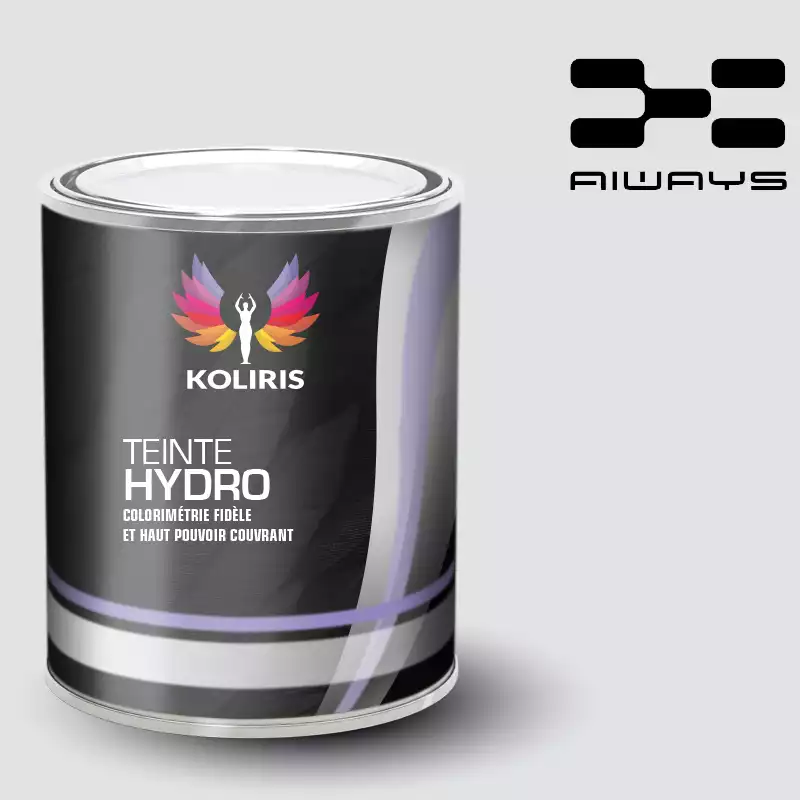 Peinture voiture hydro Aiways