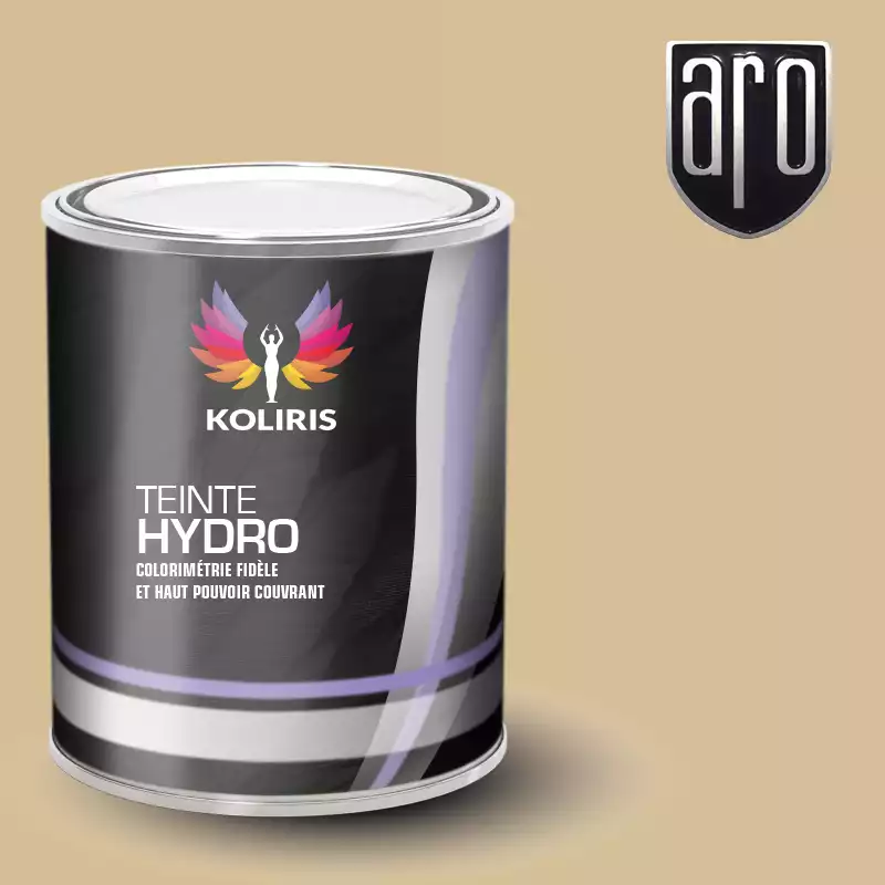 Peinture voiture hydro Aro