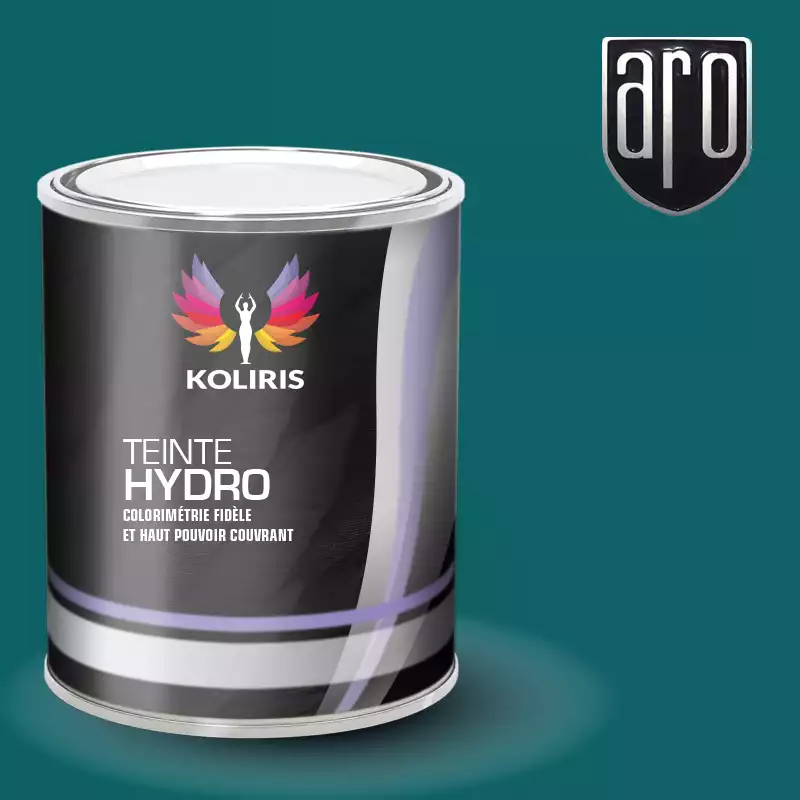 Peinture voiture hydro Aro