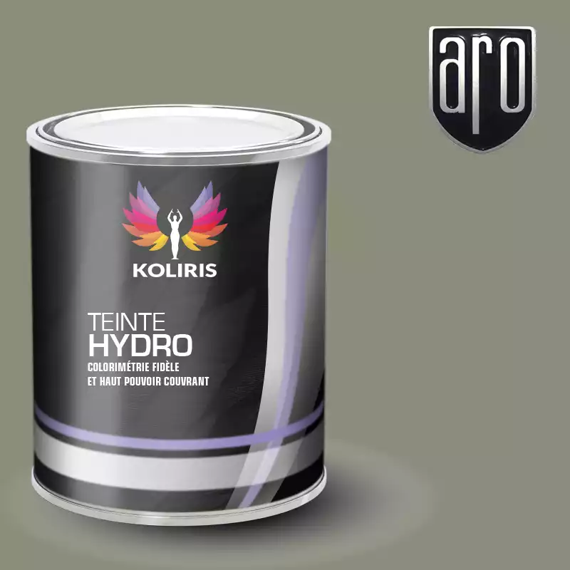 Peinture voiture hydro Aro