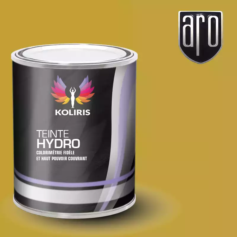 Peinture voiture hydro Aro