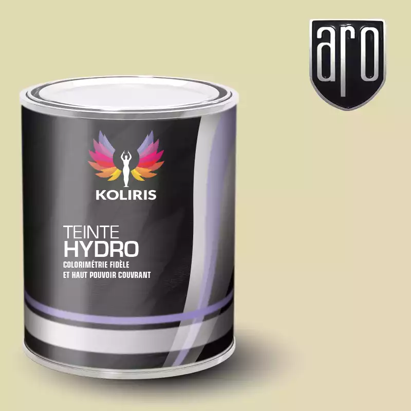 Peinture voiture hydro Aro