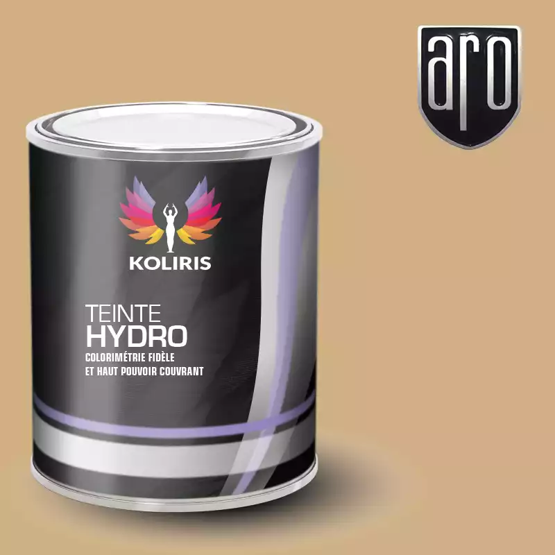 Peinture voiture hydro Aro