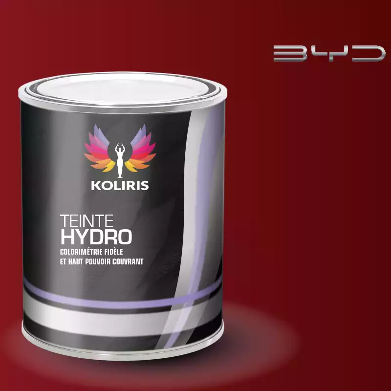 Peinture voiture hydro Byd Auto