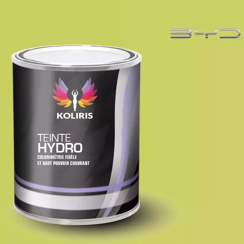 Peinture voiture hydro Byd Auto