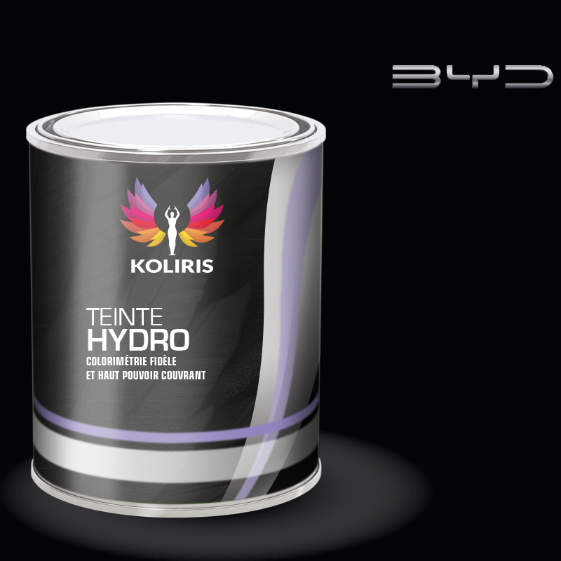 Peinture voiture hydro Byd Auto