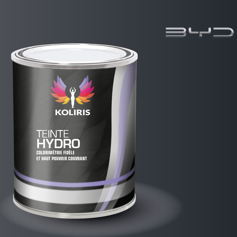 Peinture voiture hydro Byd Auto