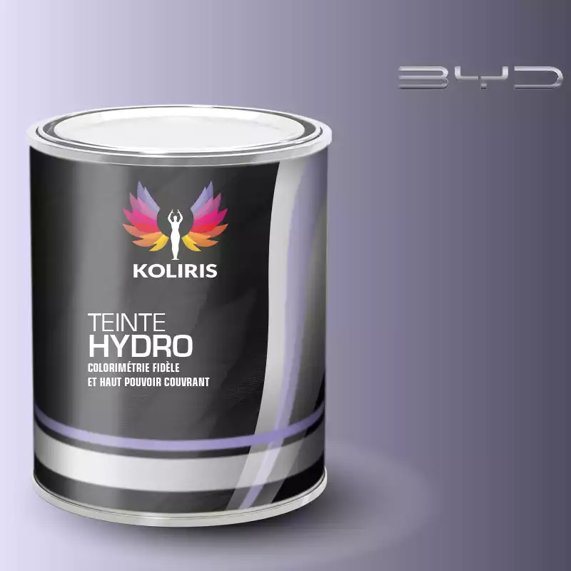 Peinture voiture hydro Byd Auto