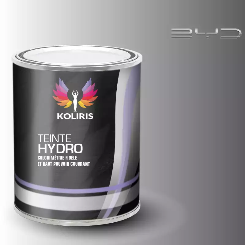 Peinture voiture hydro Byd Auto