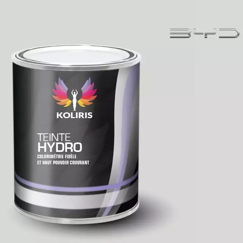 Peinture voiture hydro Byd Auto