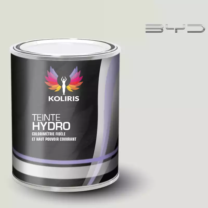 Peinture voiture hydro Byd Auto