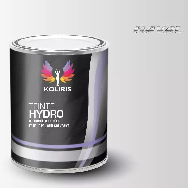 Peinture voiture hydro Haval