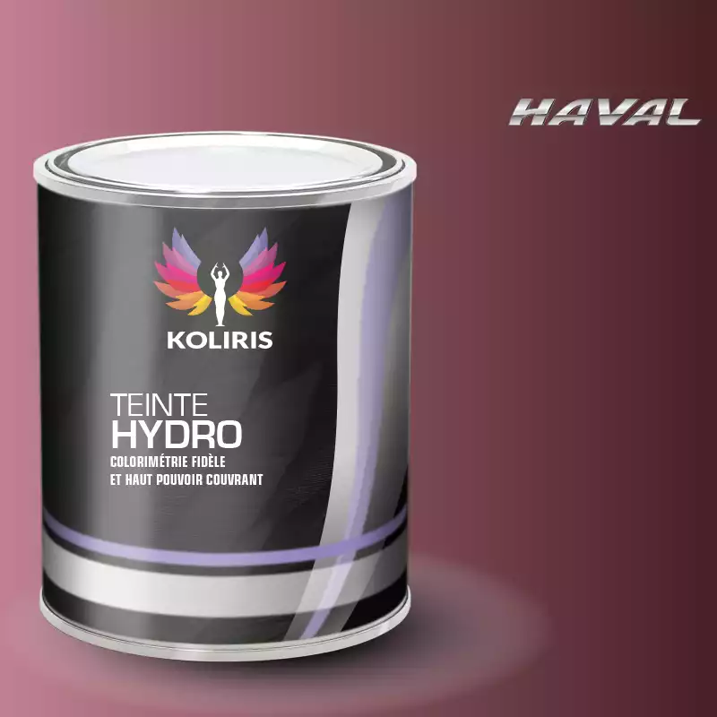 Peinture voiture hydro Haval