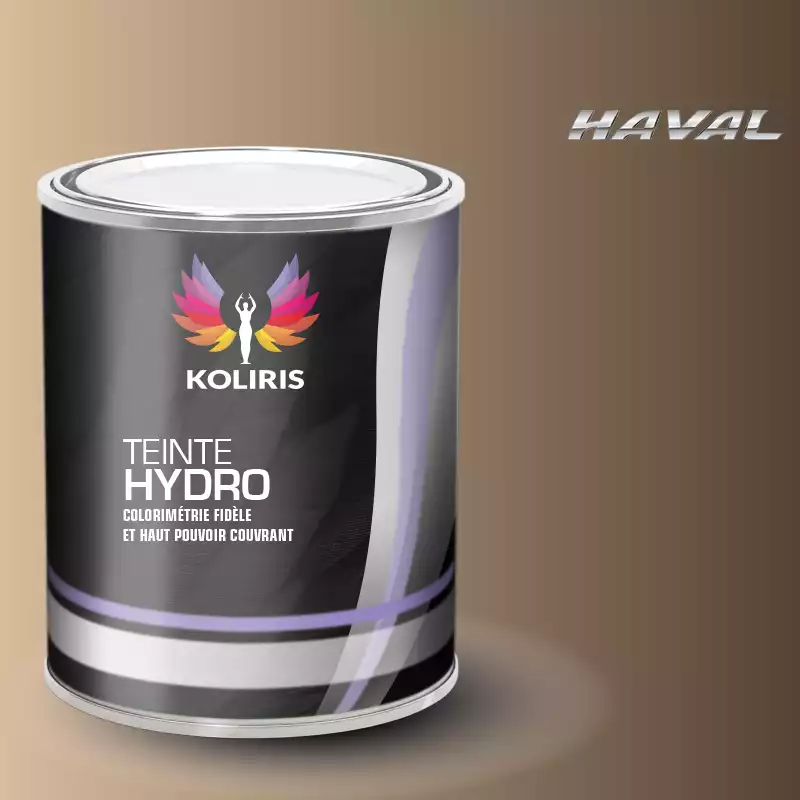 Peinture voiture hydro Haval