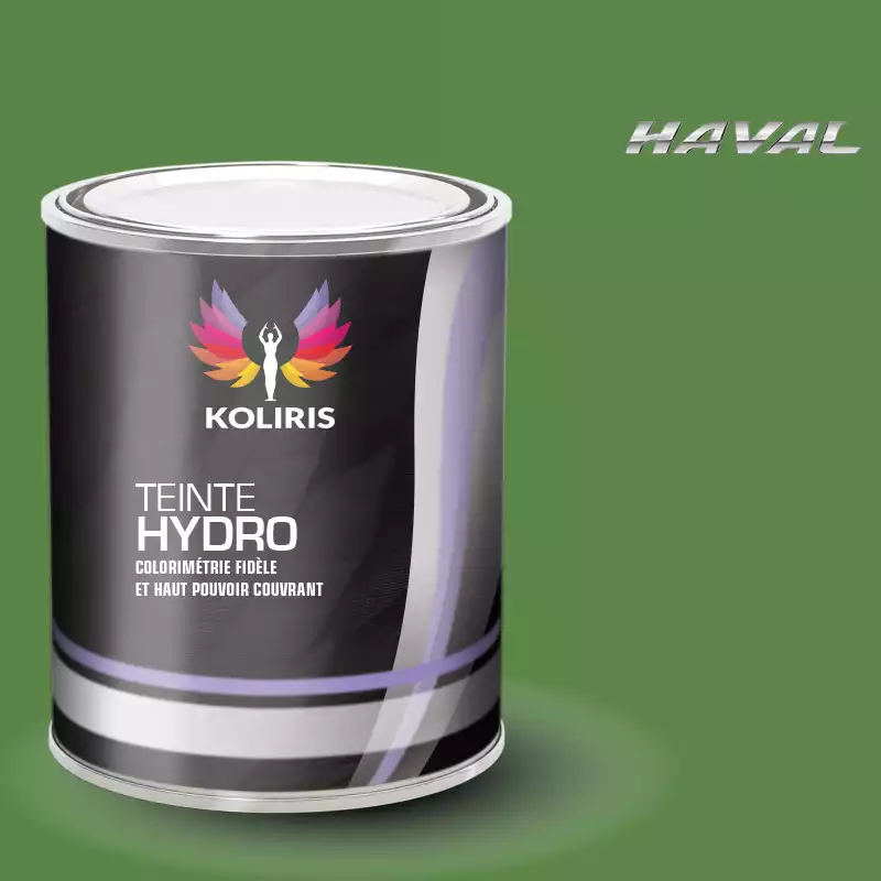 Peinture voiture hydro Haval