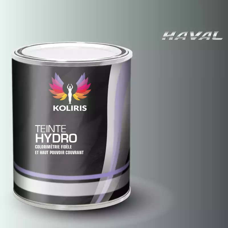 Peinture voiture hydro Haval