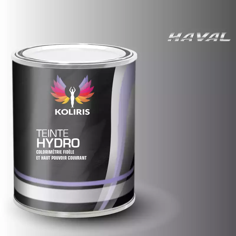 Peinture voiture hydro Haval