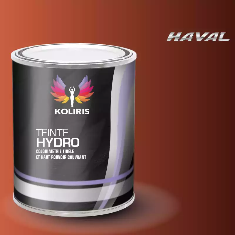 Peinture voiture hydro Haval