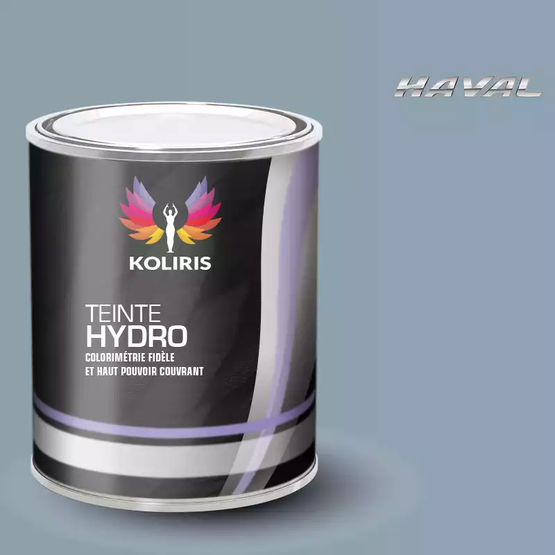 Peinture voiture hydro Haval