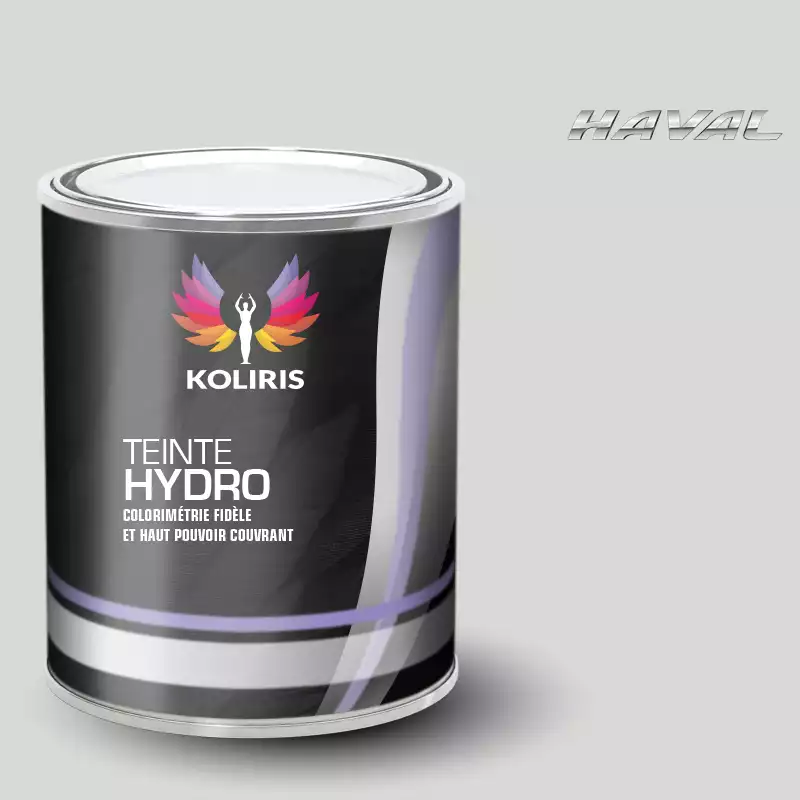 Peinture voiture hydro Haval