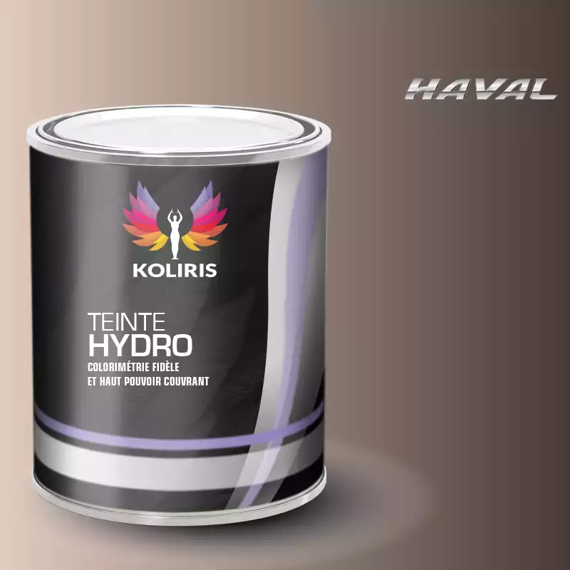 Peinture voiture hydro Haval