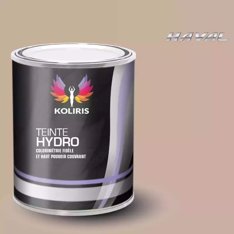 Peinture voiture hydro Haval