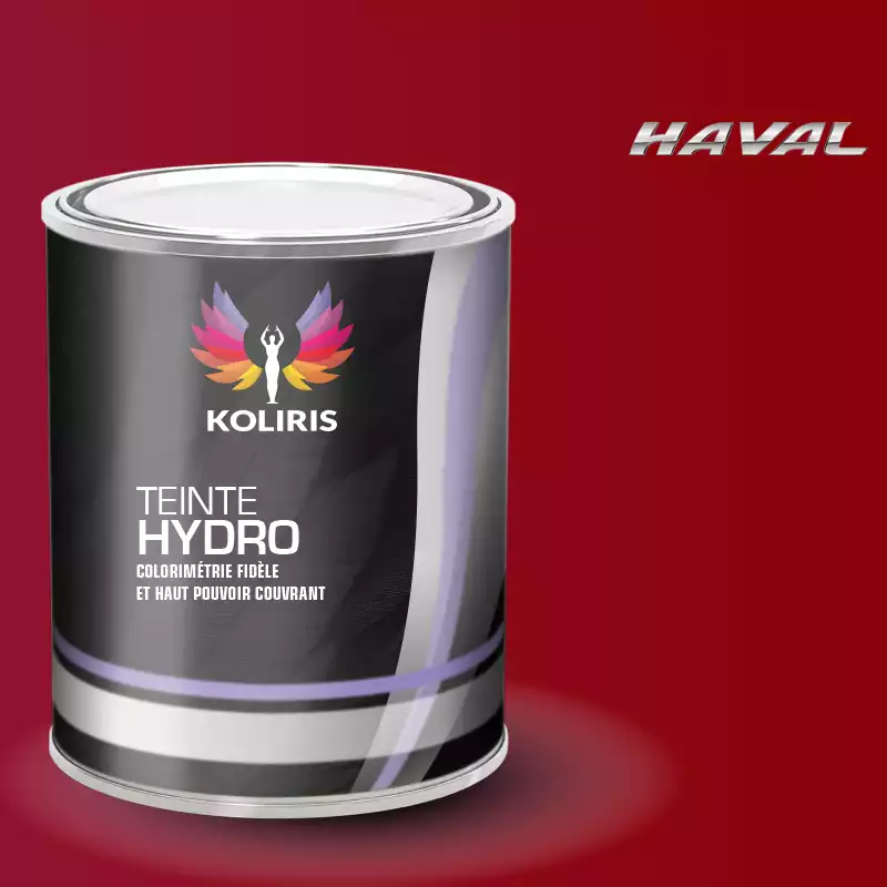 Peinture voiture hydro Haval