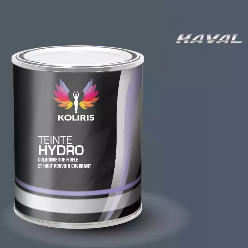 Peinture voiture hydro Haval