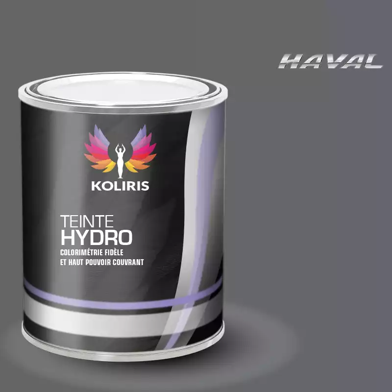 Peinture voiture hydro Haval